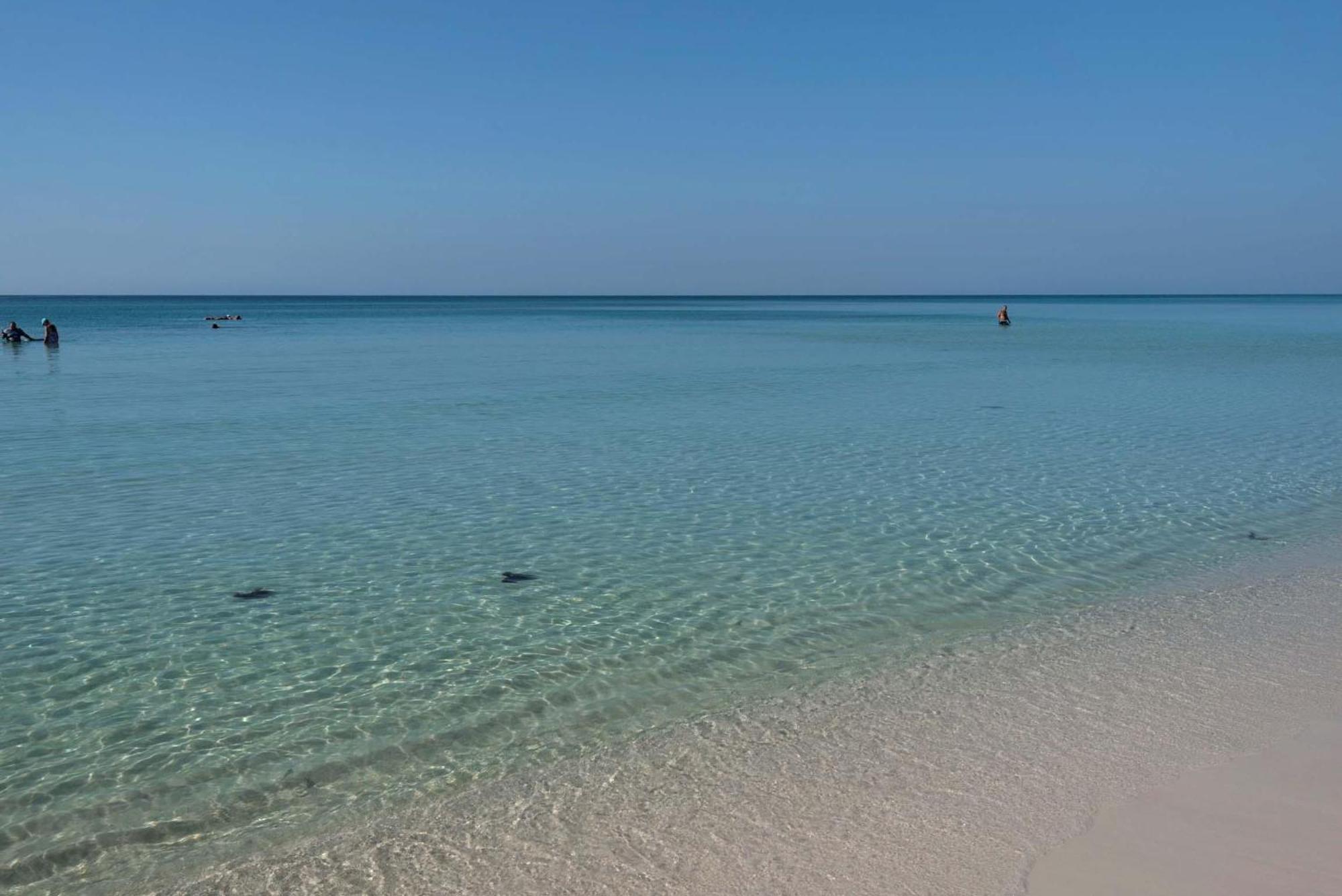 Majestic Sun 1014B- Shades Of Blue Aparthotel มิรามาร์บีช ภายนอก รูปภาพ